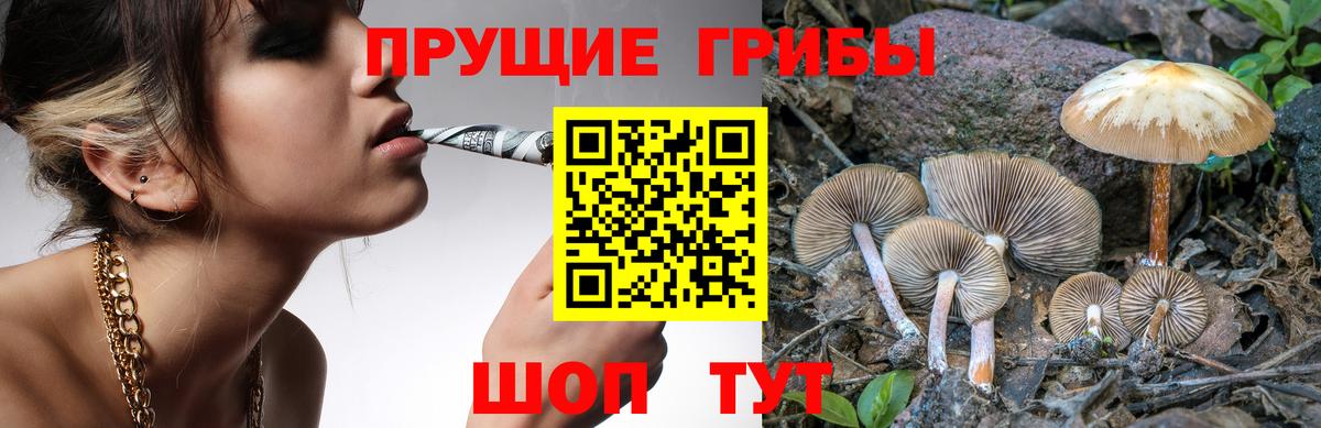 Галлюциногенные грибы мухоморы Нурлат