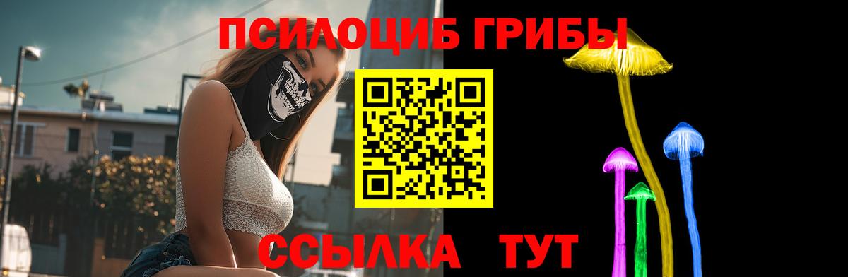 Галлюциногенные грибы Cubensis  Вход с VPN  Нурлат  Псилоцибиновые грибы Psilocybe 